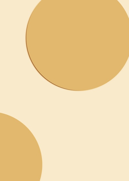 Understanding WordPress Themes